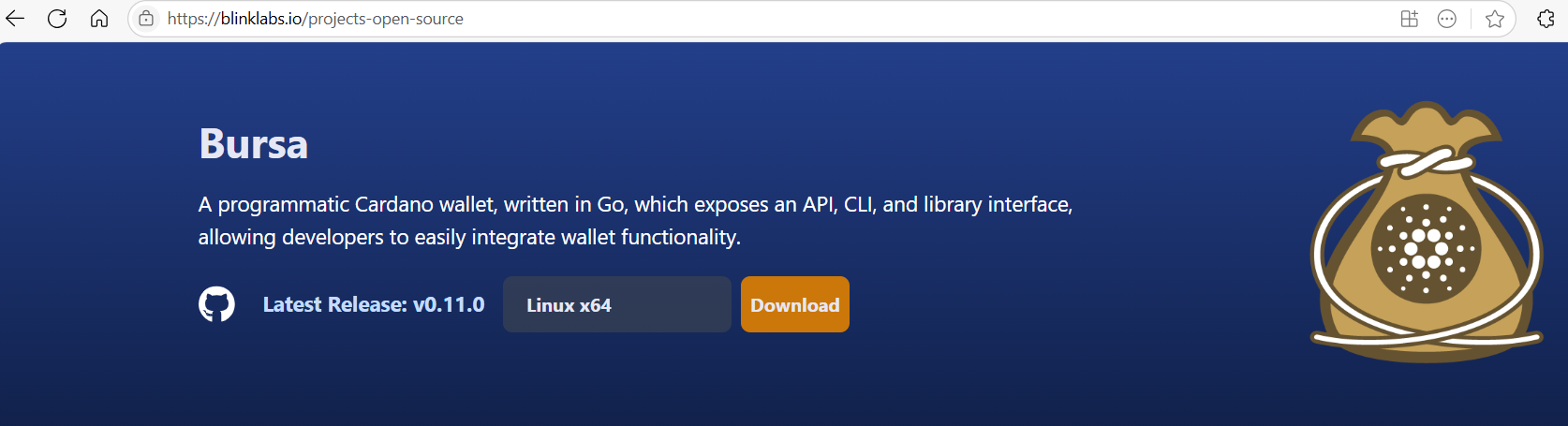 bursa-blinklabs-site