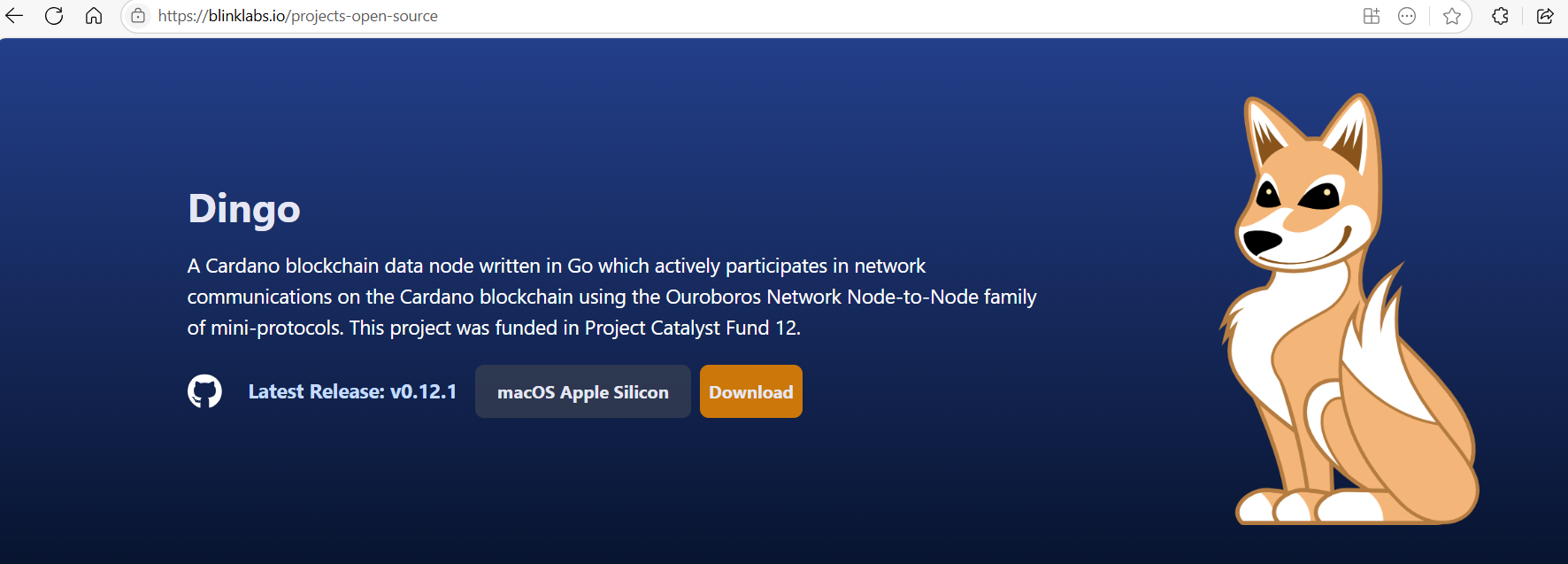 dingo-blinklabs-site