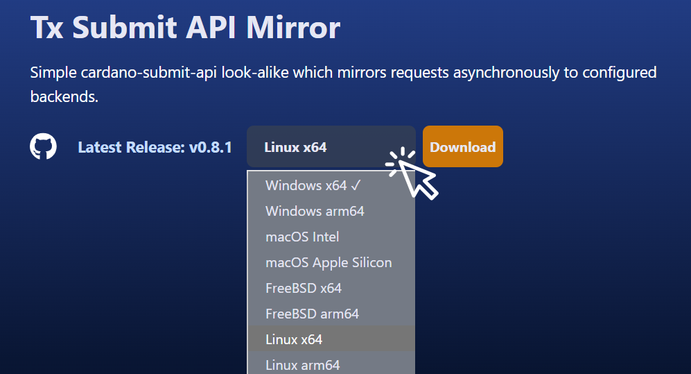 txsubmit-mirror-blinklabs-site-operating-system