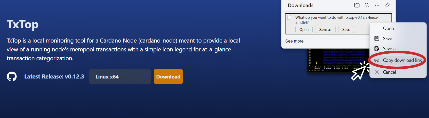 txtop-blinklabs-site-copy-link